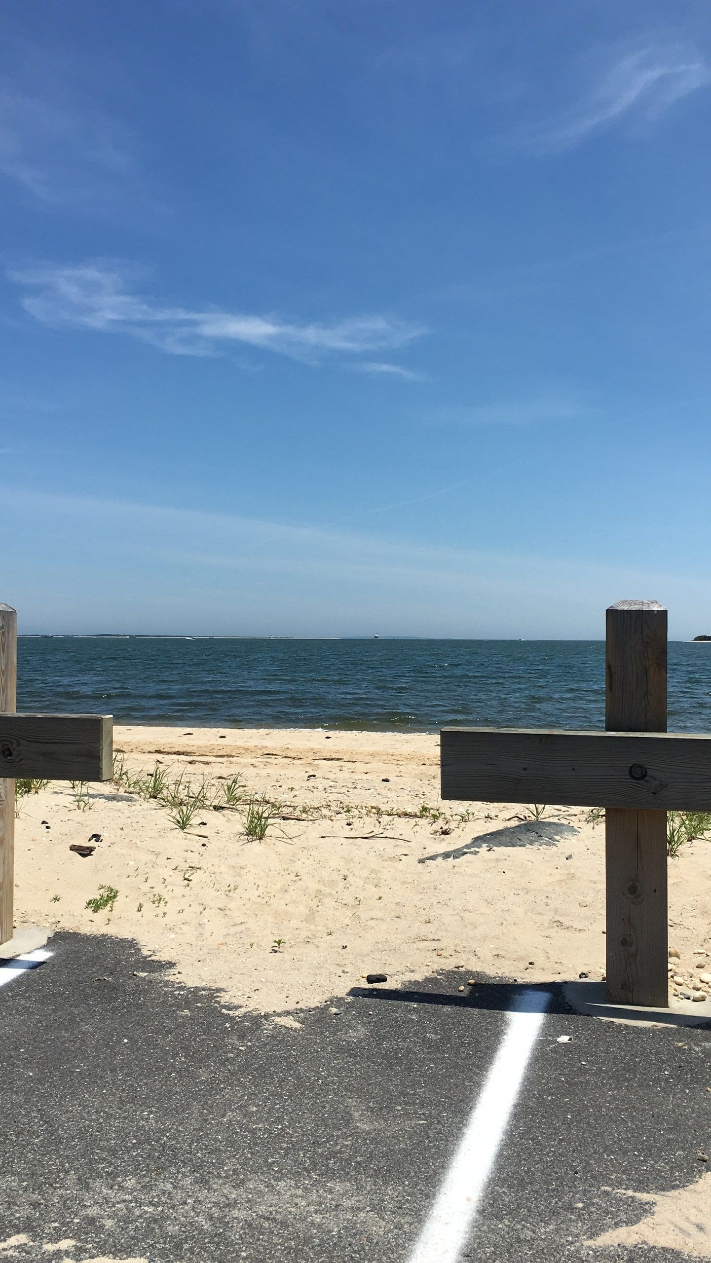 iPhone photo of the beach where the birds were shot