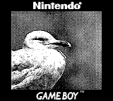 Game Boy Camera photo of a seagull